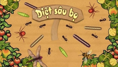 Tết Đoan Ngọ (05/05 âm lịch)