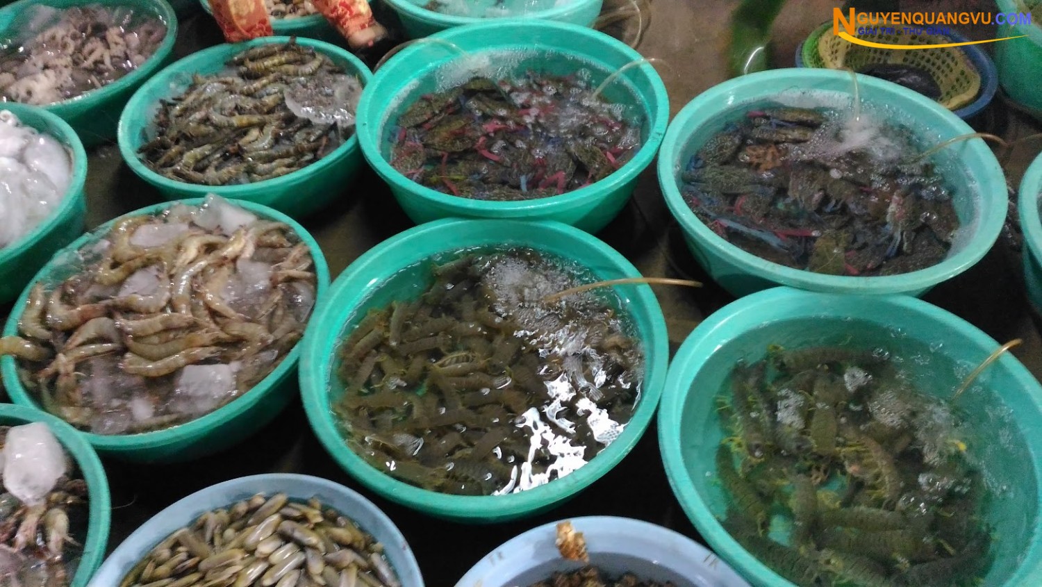 Chợ hải sản Hàng Dương