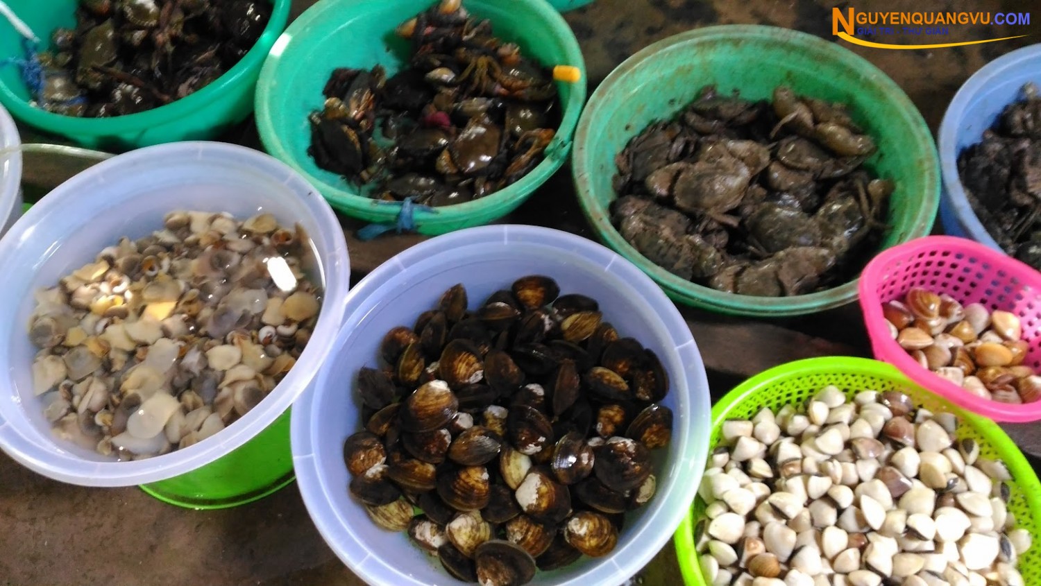 Chợ hải sản Hàng Dương