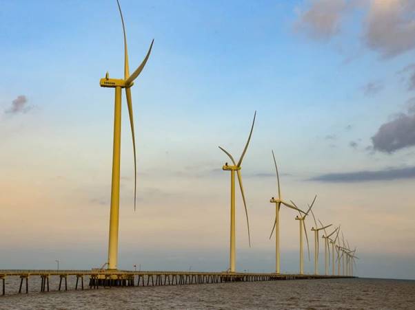 Cánh đồng điện gió Bạc Liêu