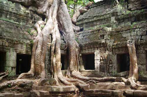 Angkor, ngôi nhà của thần linh