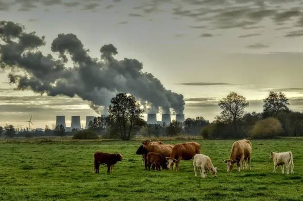 Vì sao buổi sớm, trong không khí thành phố lại bị ô nhiễm rất nặng?